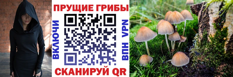 сколько стоит  Гремячинск  Галлюциногенные грибы MAGIC MUSHROOMS 